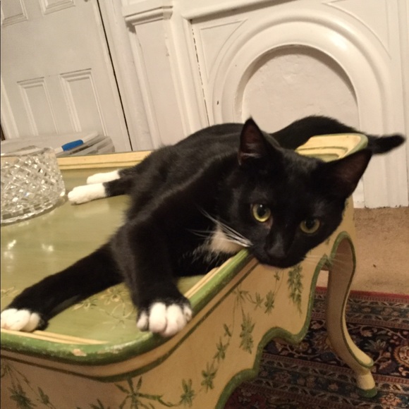 Meet your Posher, Almy - Picture 5 of 14